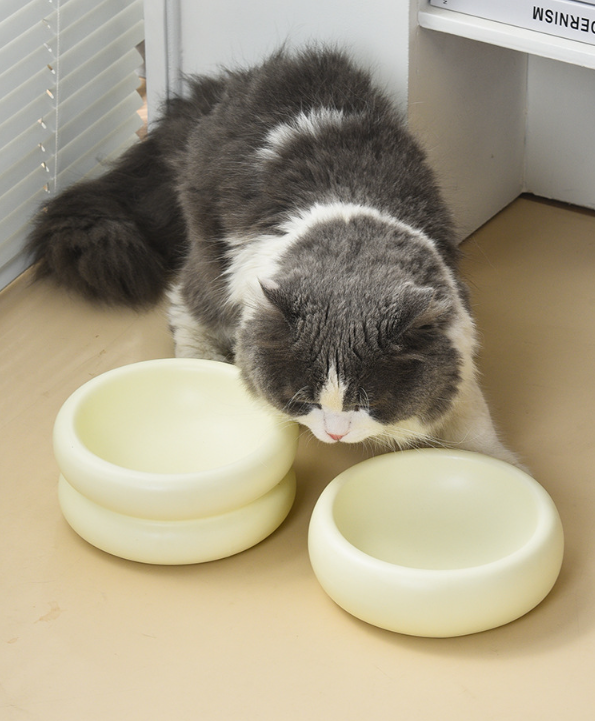 High Stand Ceramic Pet Bowl