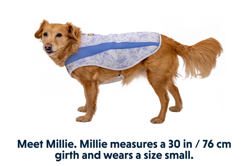 Ruffwear Swamp Cooler Dog Cooling Vest