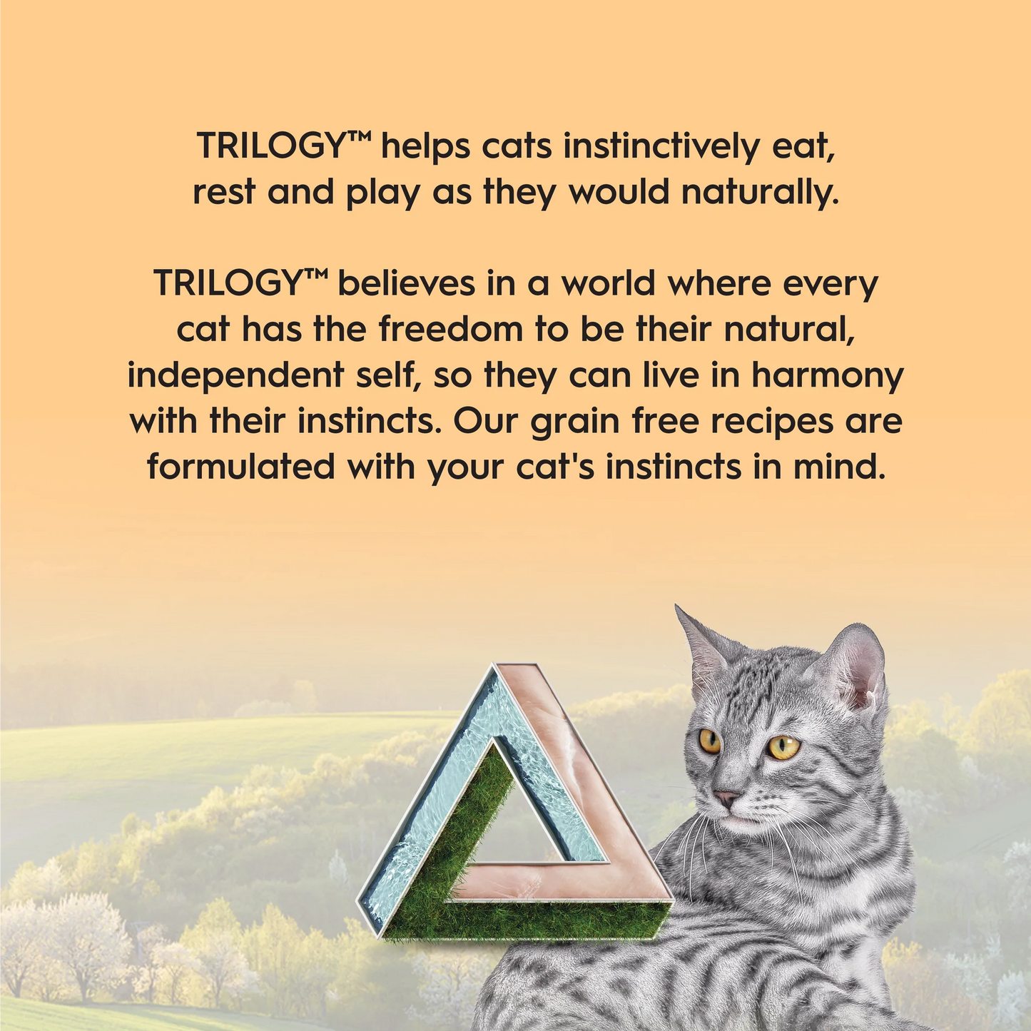 Trilogy™ 小猫农场饲养鸡浓骨汤 85g