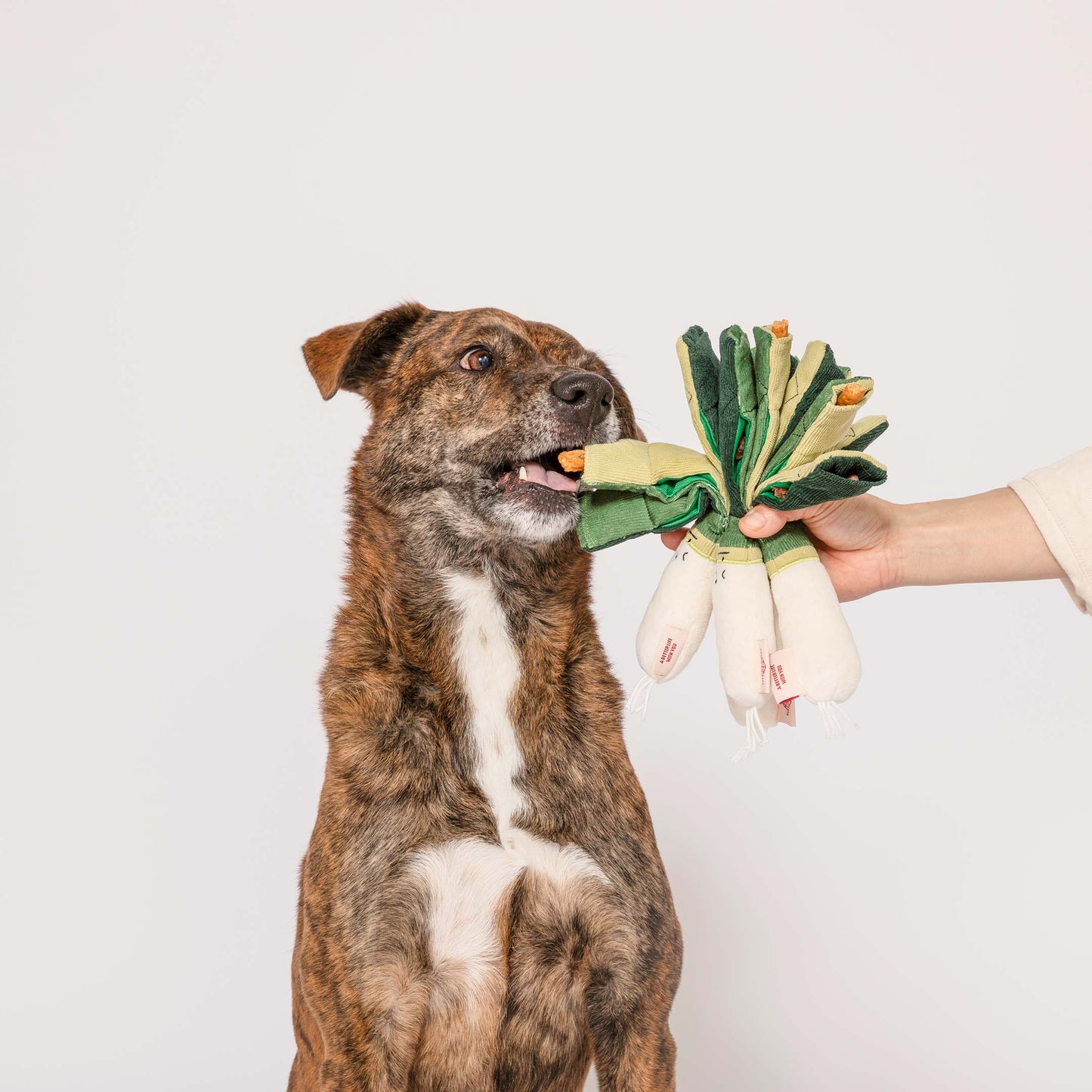 FurryFolks Green Onion Nosework Toy