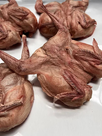 GoGoTreats Freeze-Dried Whole Quail