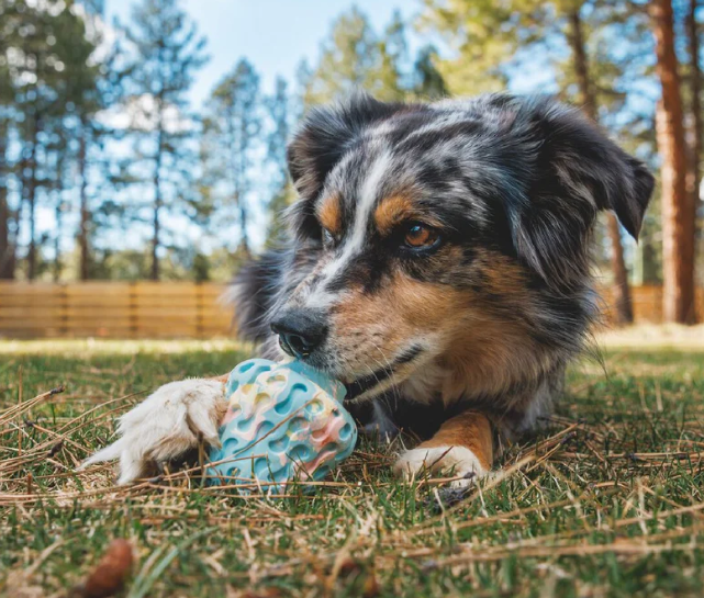 Ruffwear Morel Rubber Dog Toy