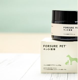 ForsurePet Foot Lotion 40g