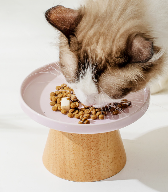 Solid Wood High Stand Ceramic Pet Bowl