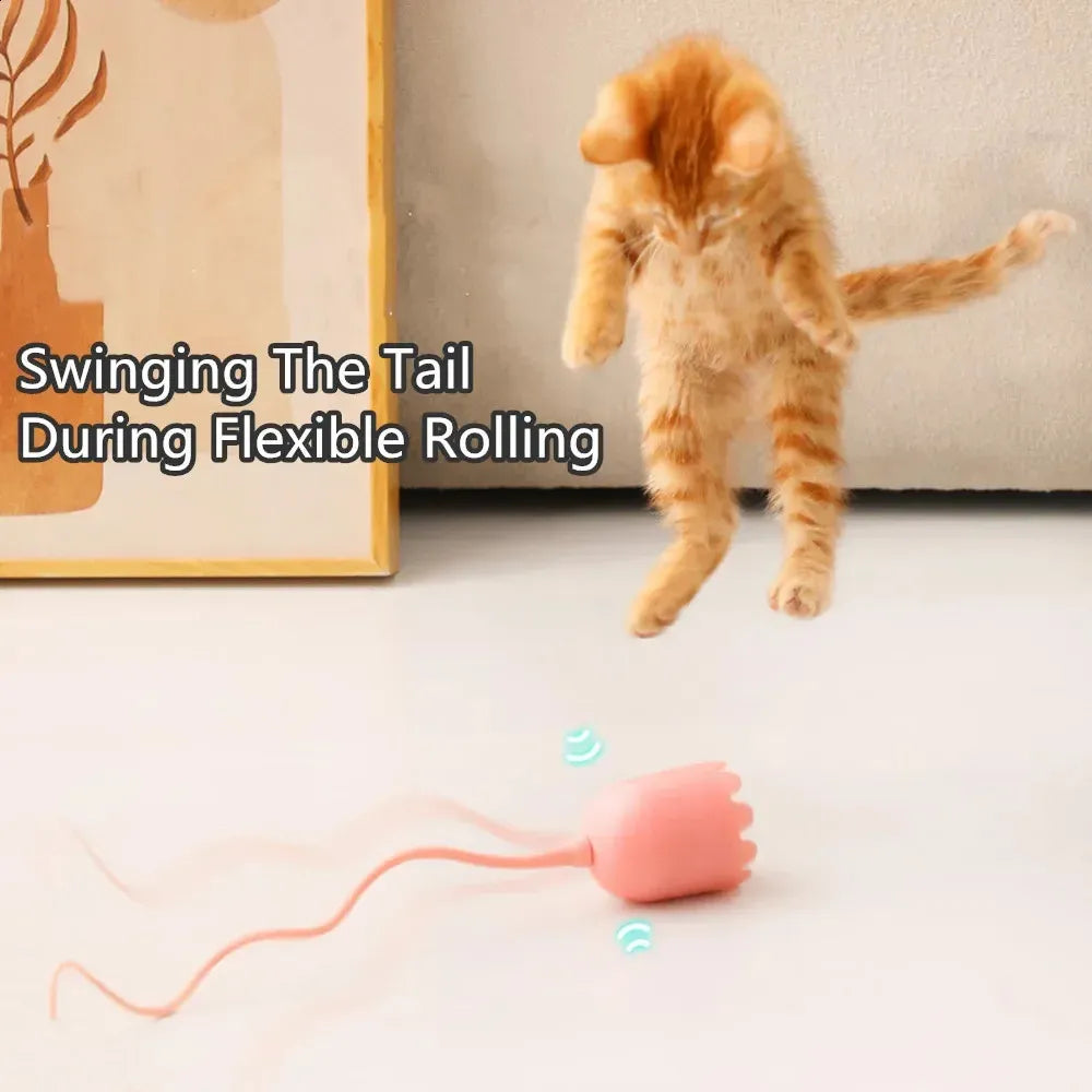 PetGravity Magic Tail Cat Teaser