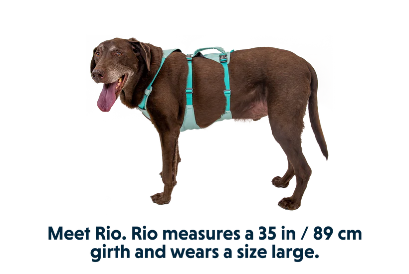 Ruffwear Flagline Dog Harness with Handle