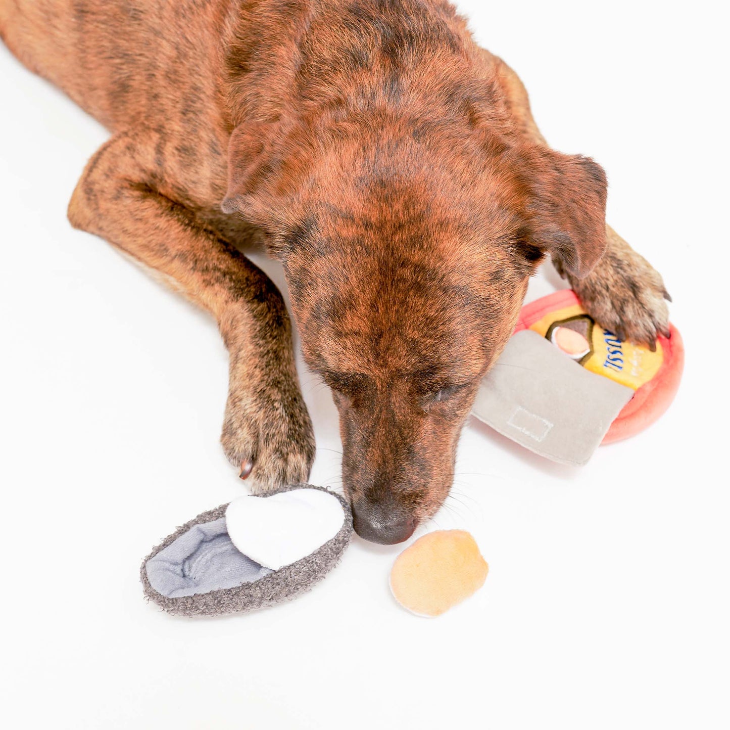 FurryFolks Tinned Mussel Nosework Toy