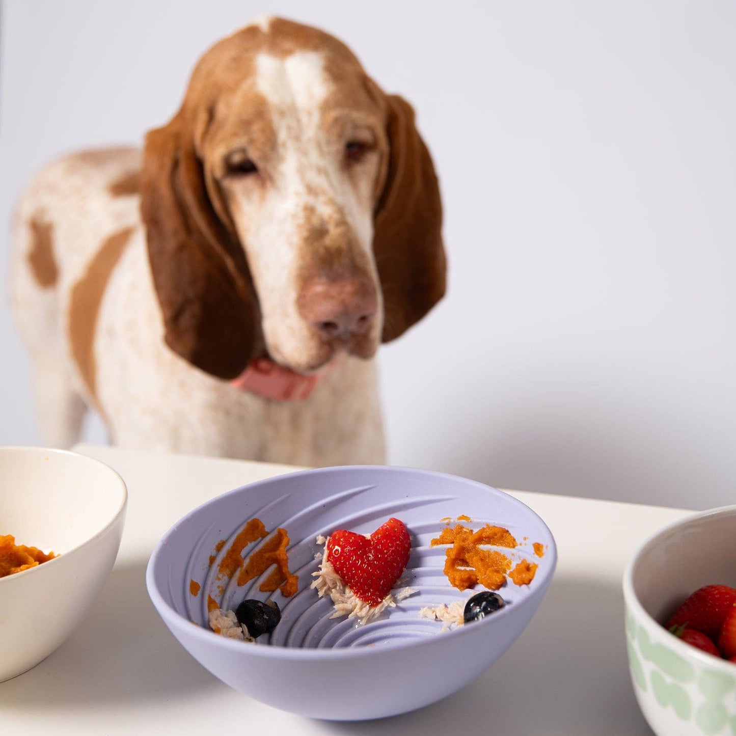 Awoo Wobbowl Lick & Slow Feeder Bowl