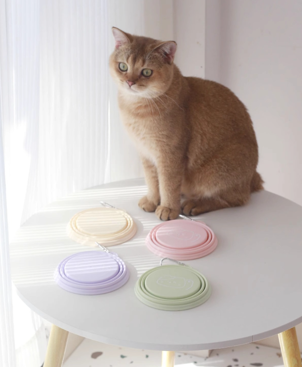 Silicon Collapsible Pet Bowl 650ml