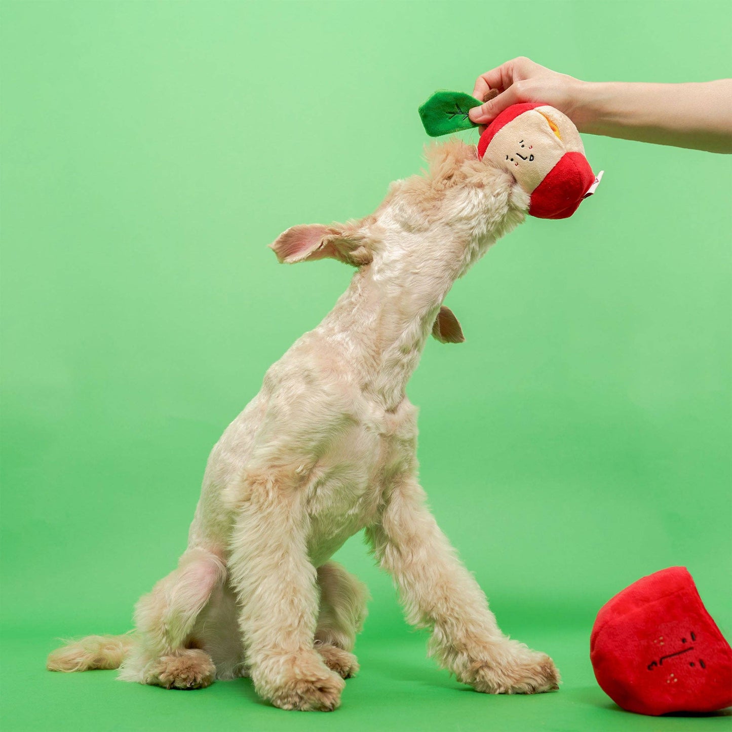 FurryFolks Apple Nosework Toy