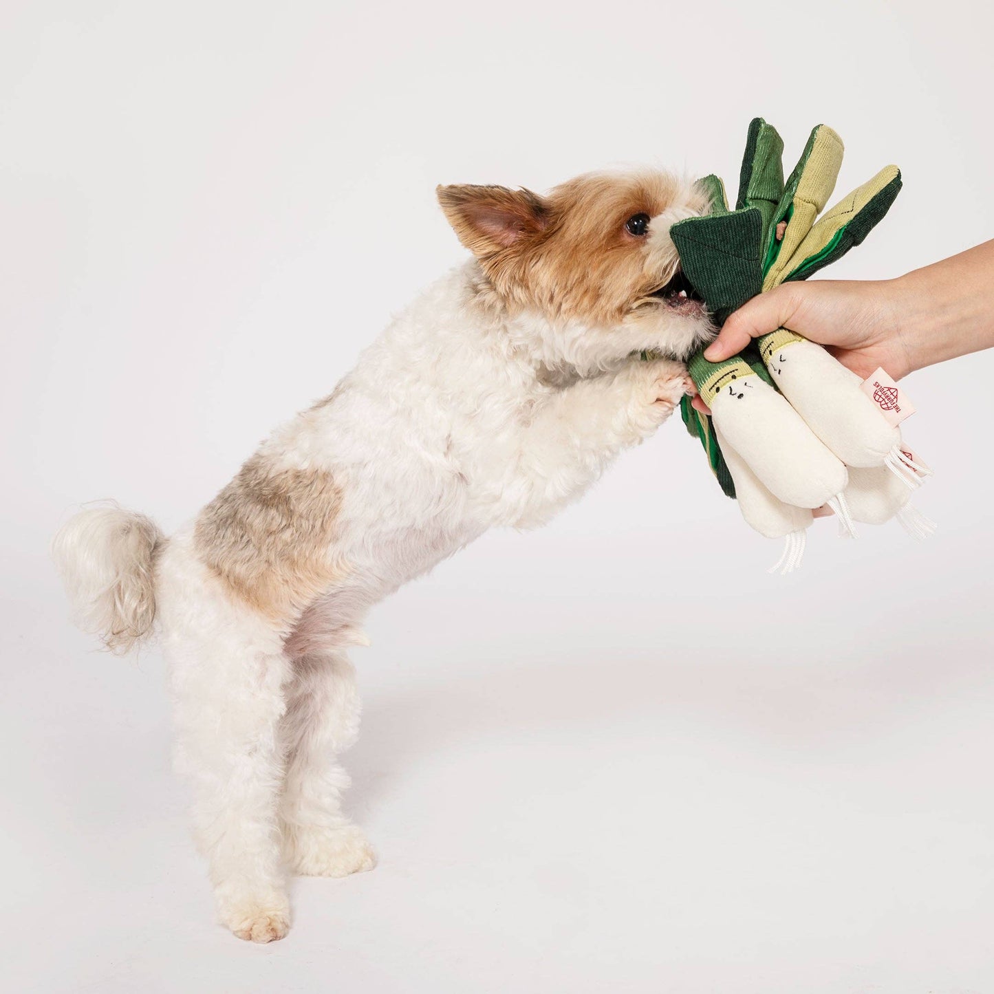 FurryFolks Green Onion Nosework Toy