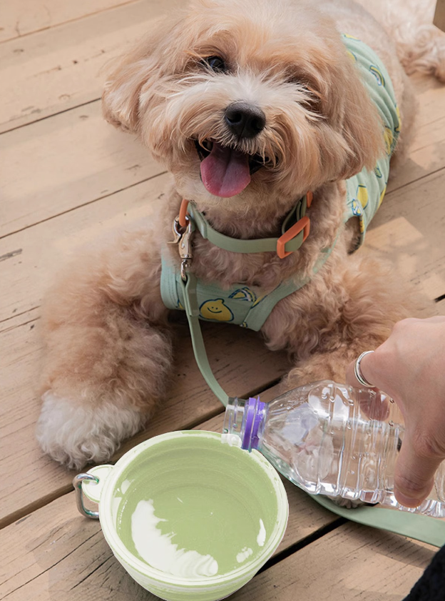 Silicon Collapsible Pet Bowl 650ml