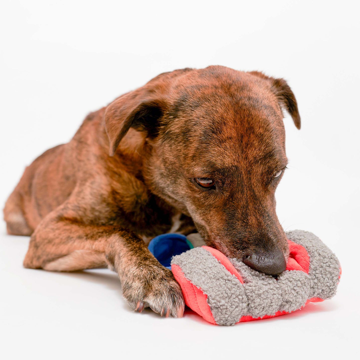 FurryFolks Tinned Salmon  Nosework Toy