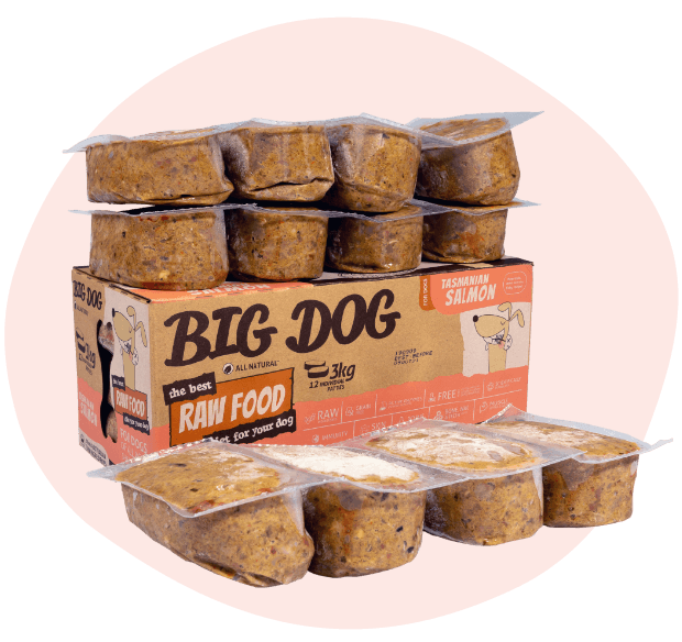 Big Dog Tasmanian Salmon Raw for Dogs