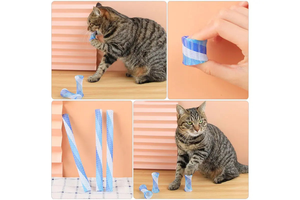 Soft Spring Toy for Cats