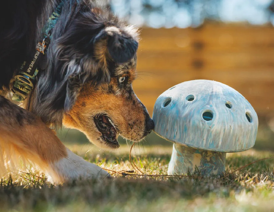 Ruffwear Porcini Rubber Dog Toy