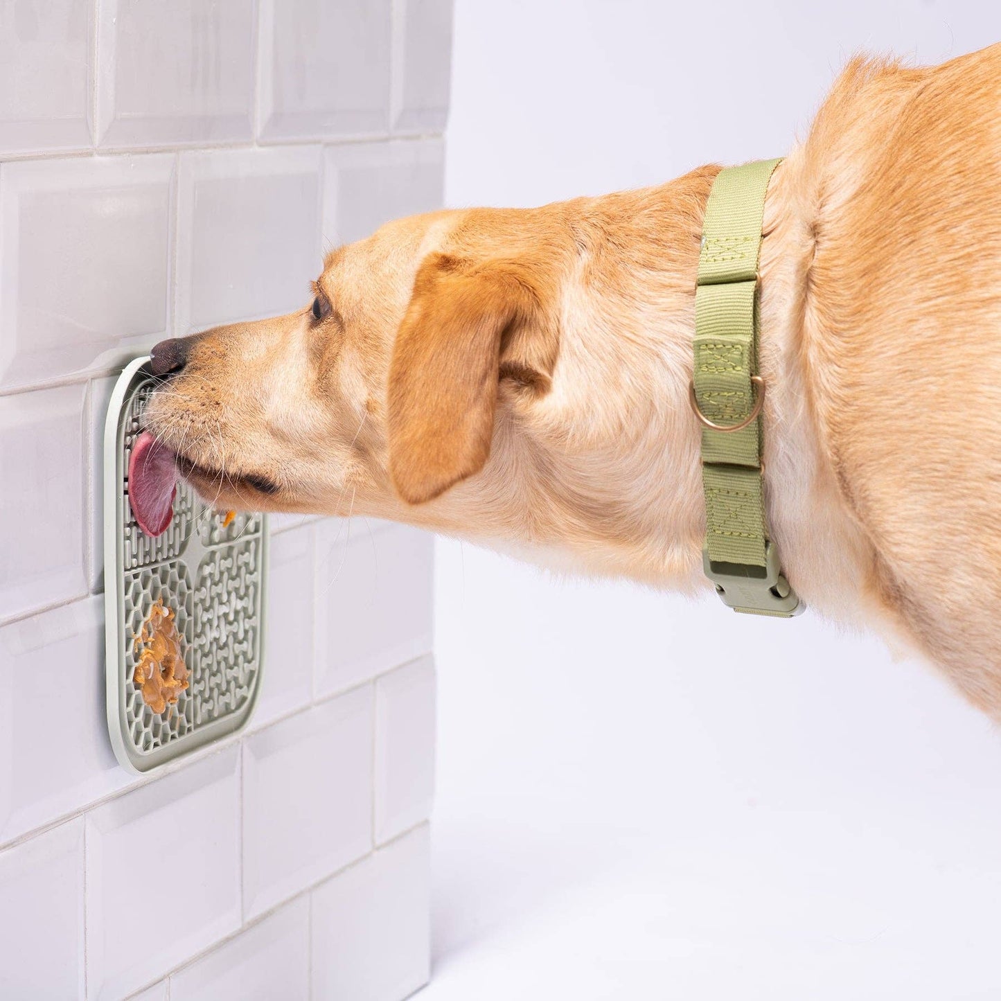 Awoo SMOOSH Lick Mat