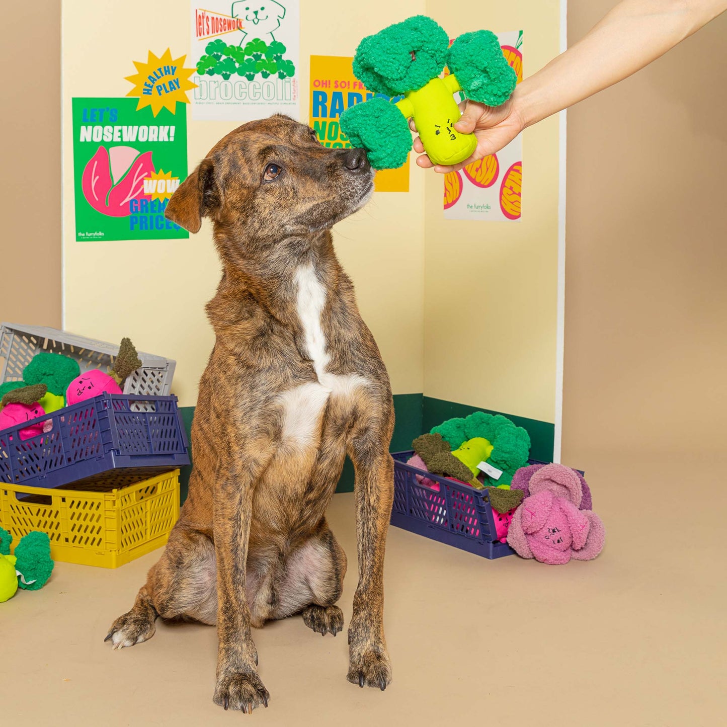 FurryFolks Broccoli Nosework Toy