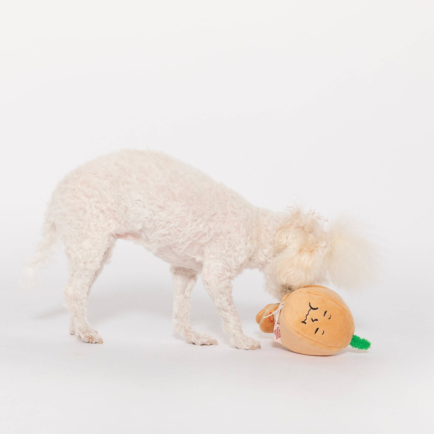 FurryFolks Yellow Onion Nosework Toy