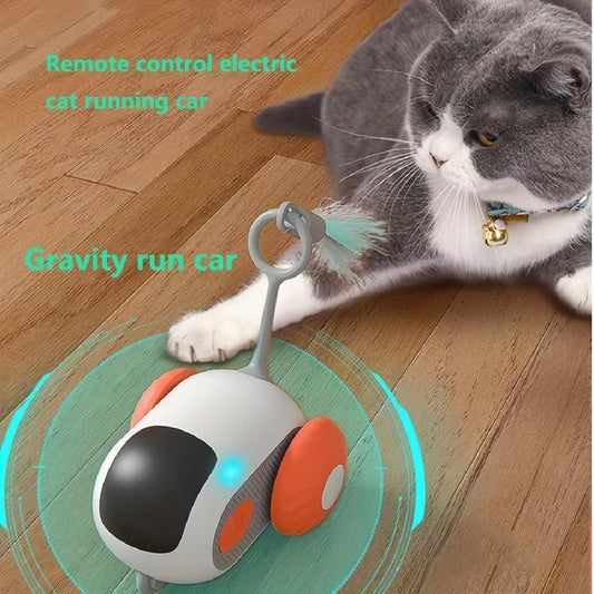 PetGravity Remote Control Toy Car