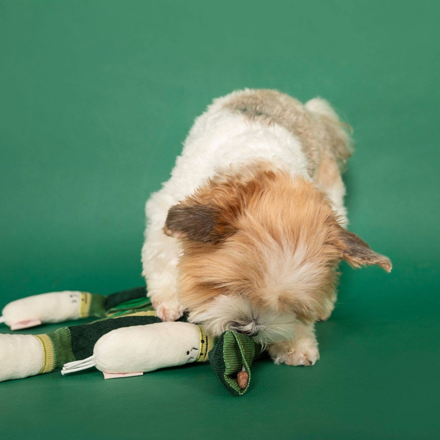 FurryFolks Green Onion Nosework Toy