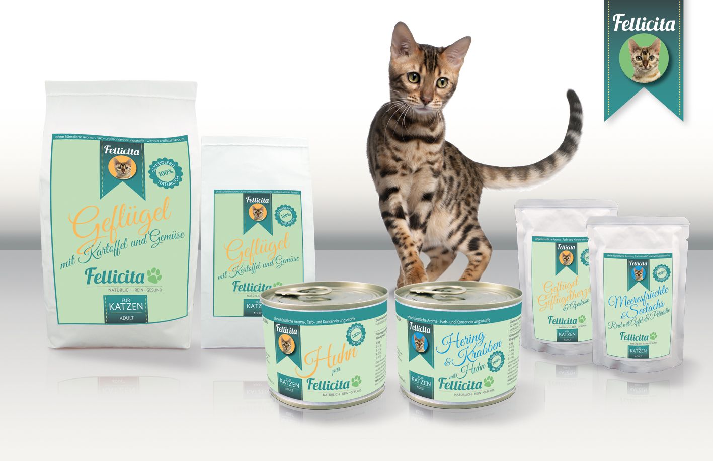 Fellicita Wet Food for Cats 95g