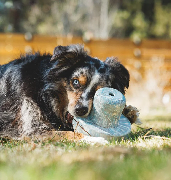 Ruffwear Porcini Rubber Dog Toy