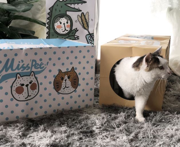 MissPet Paper Bag Tunnel