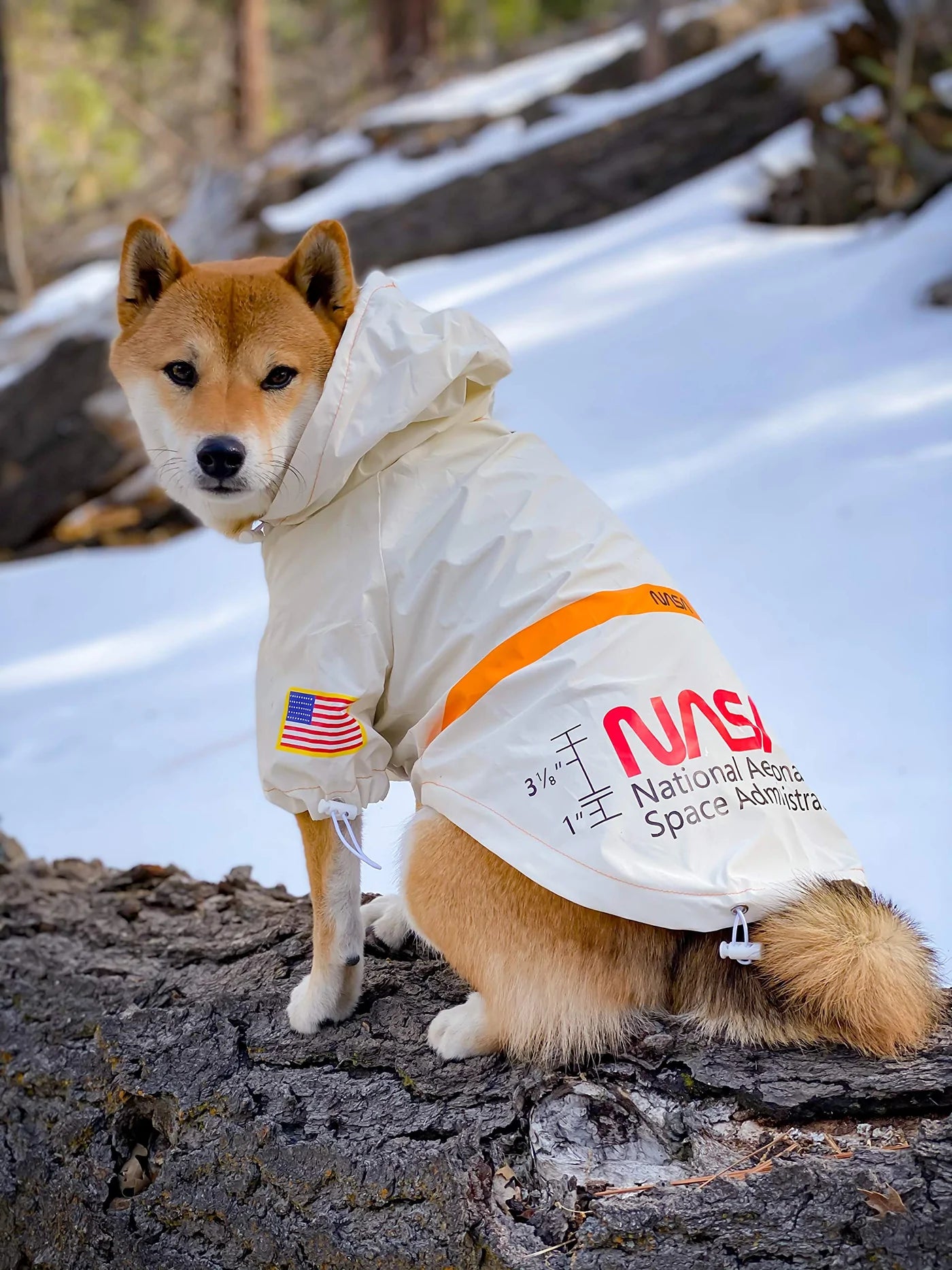 NASA Waterproof Reflective Jacket