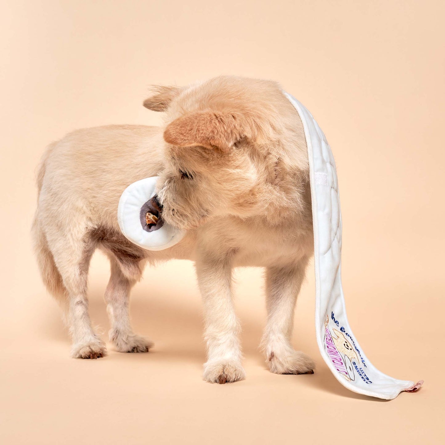 FurryFolks Toilet Paper Nosework Toy