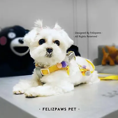 Felizpaws x RePawblic 彩色泡泡宠物牵引绳