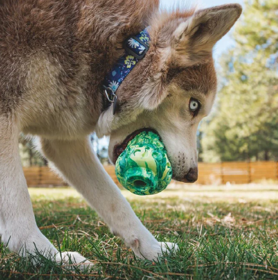 Ruffwear Morel Rubber Dog Toy