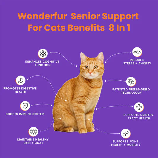 Wonderfur Bites Senior Support for Cats