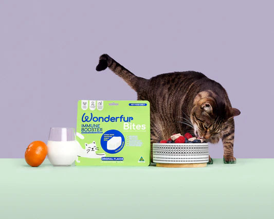 Wonderfur Bites Immune Support for Cats (Copy)