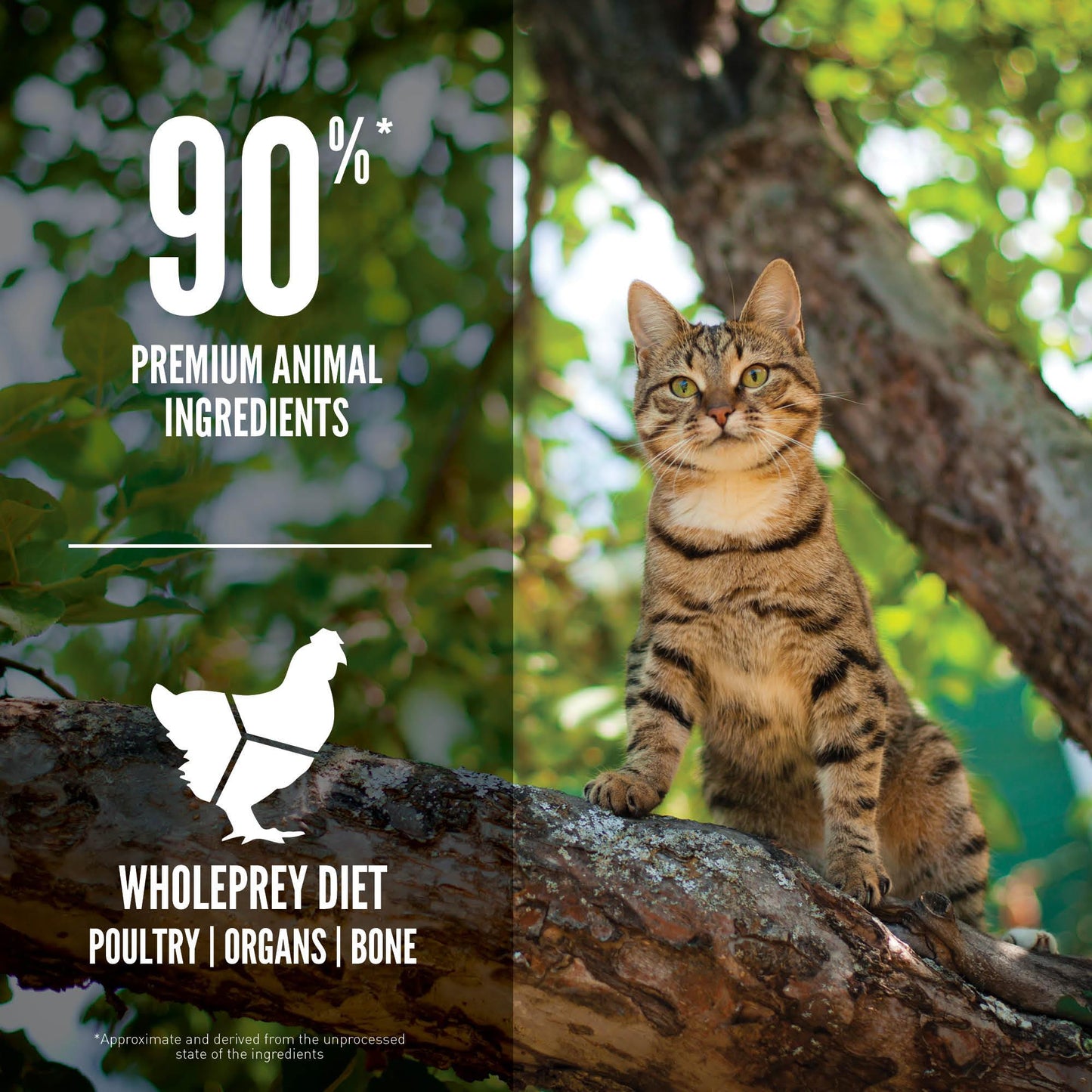 Biologically Appropriate Guardian 8 Cat Dry Food