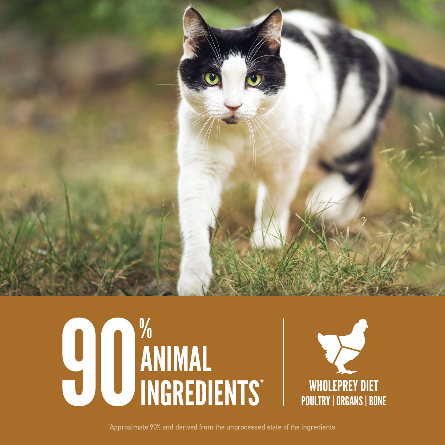 ORIJEN Biologically Appropriate Original Cat Dry Food