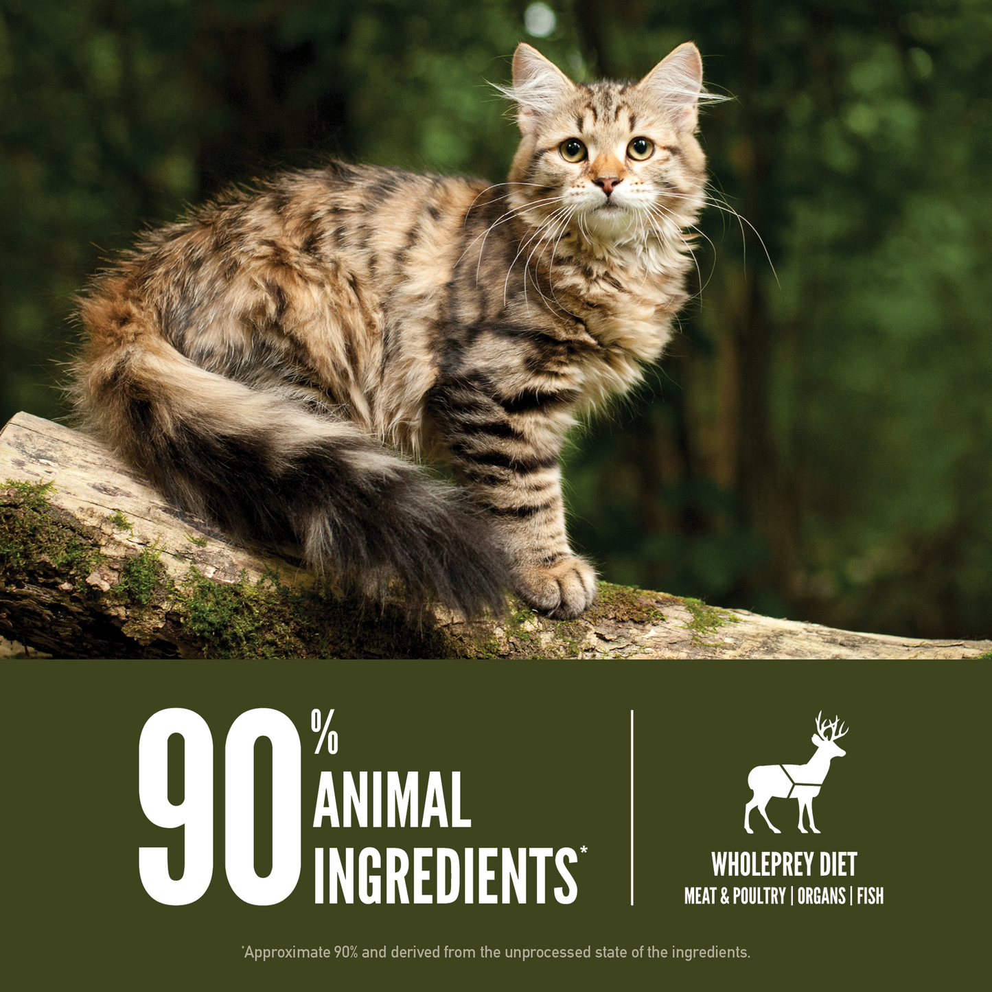 ORIJEN Biologically Appropriate Tundra Cat Dry Food 1.8kg