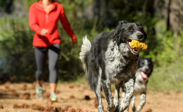 Ruffwear Gnawt-a-Cone 橡胶狗玩具