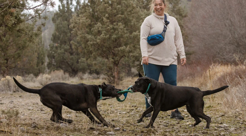 Ruffwear 太平洋环狗玩具