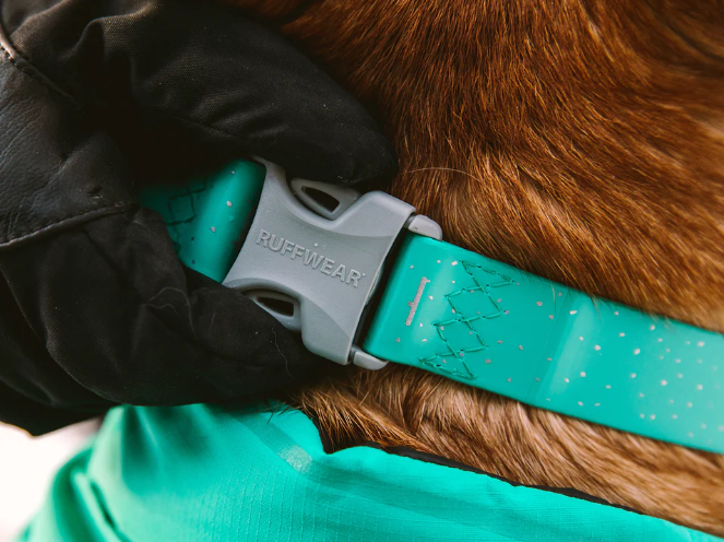 Ruffwear Confluence 防水狗项圈 Aurora Teal