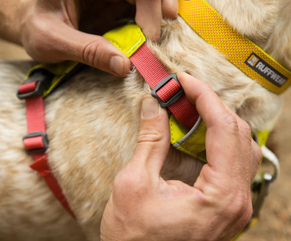 Ruffwear HI&amp;LIGHT 轻便狗背带