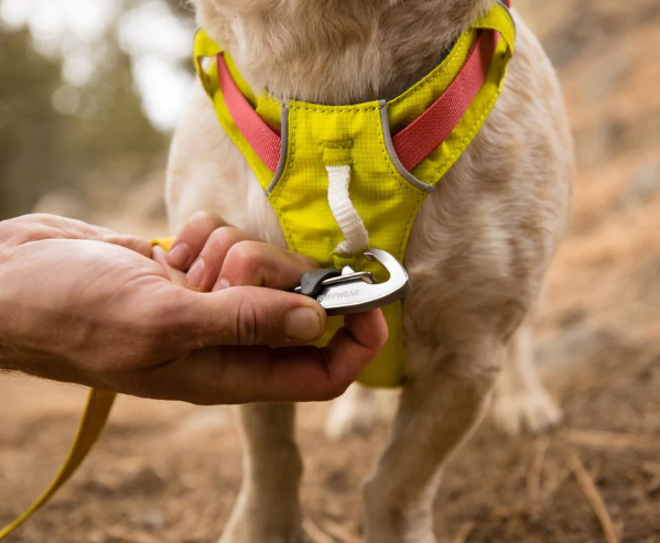 Ruffwear HI&amp;LIGHT 轻便狗背带