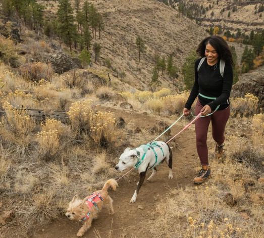 Ruffwear Flagline Dog Harness with Handle