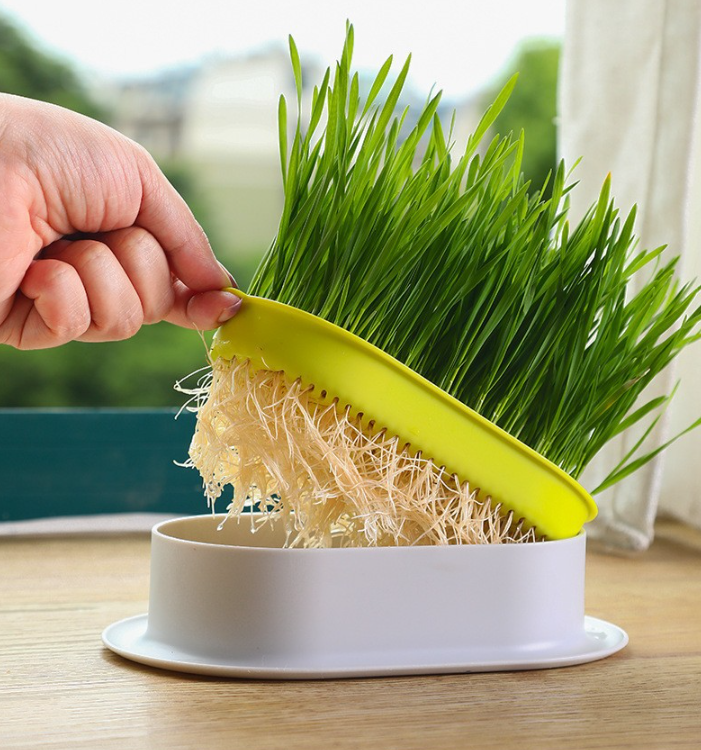 Cat Garden Grass Planter