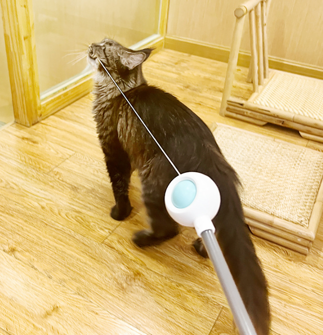 PetGravity MultiOne 猫逗猫棒（带激光）