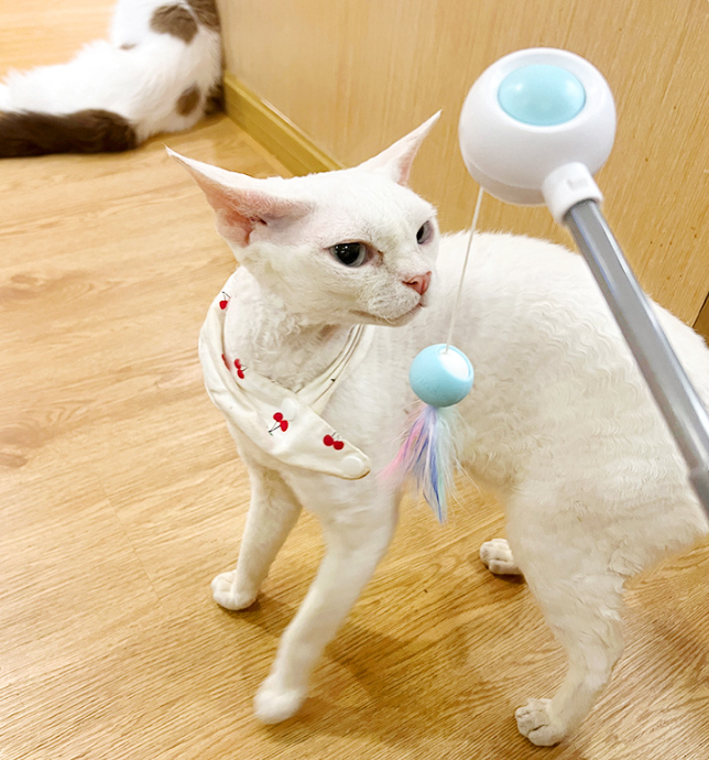 PetGravity MultiOne 猫逗猫棒（带激光）