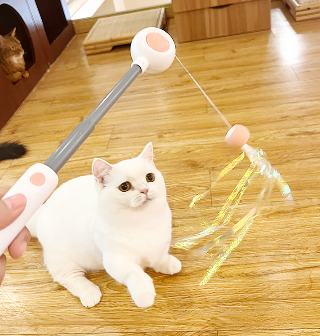 PetGravity MultiOne 猫逗猫棒（带激光）