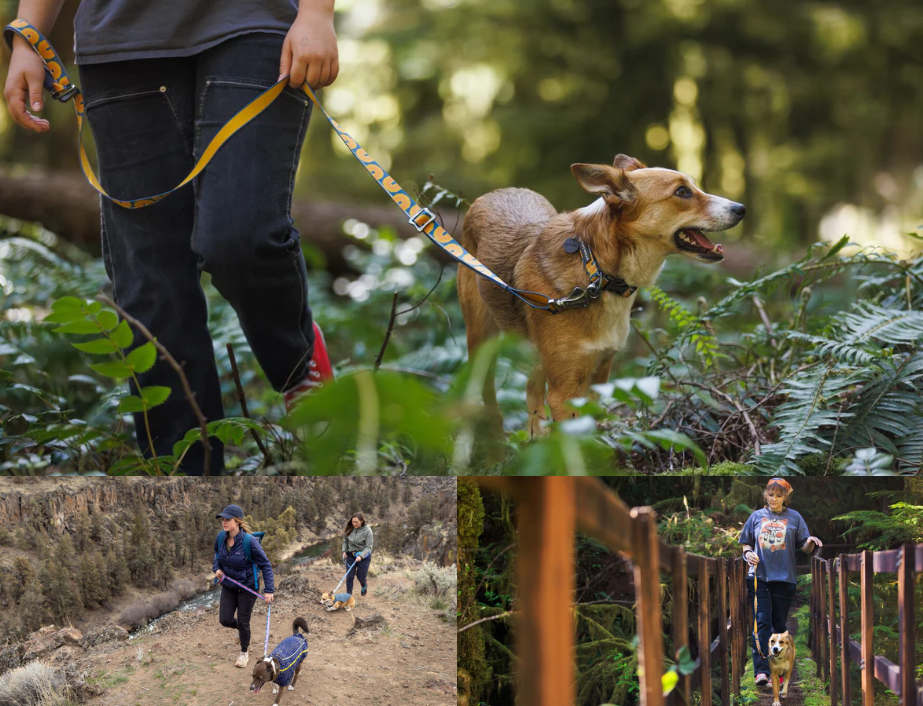 Ruffwear Crag 反光领