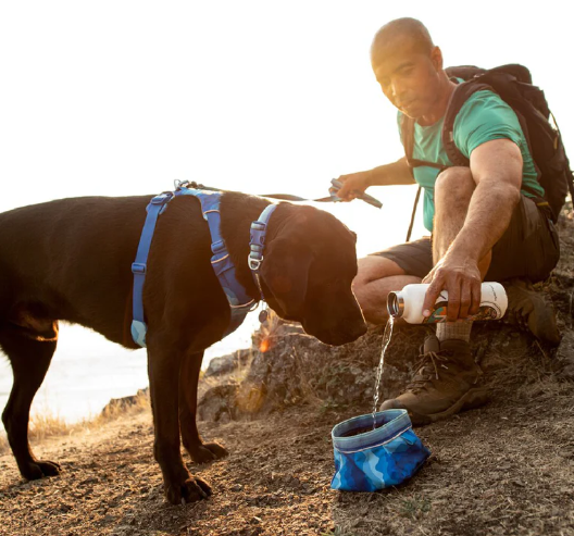 Ruffwear 淬火碗