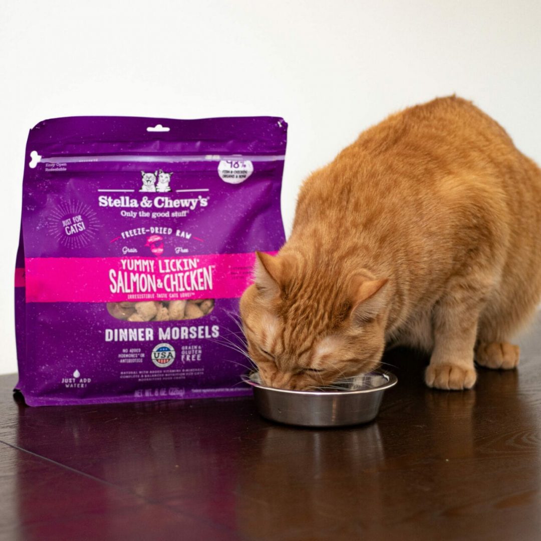 Stella&Chewy's Yummy Ticklin'  Salmon&Chicken Freeze-Dried Dinner for Cat 226g